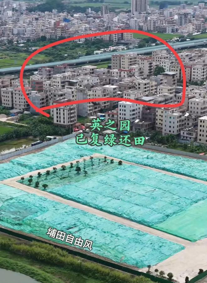涉事干部被问责下一步规划曝光当地再回应j9九游会真人游戏第一英之园已复绿还田(图6)